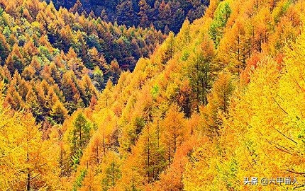 望江楼千古绝对的下联,望江楼千古绝对下联搞笑