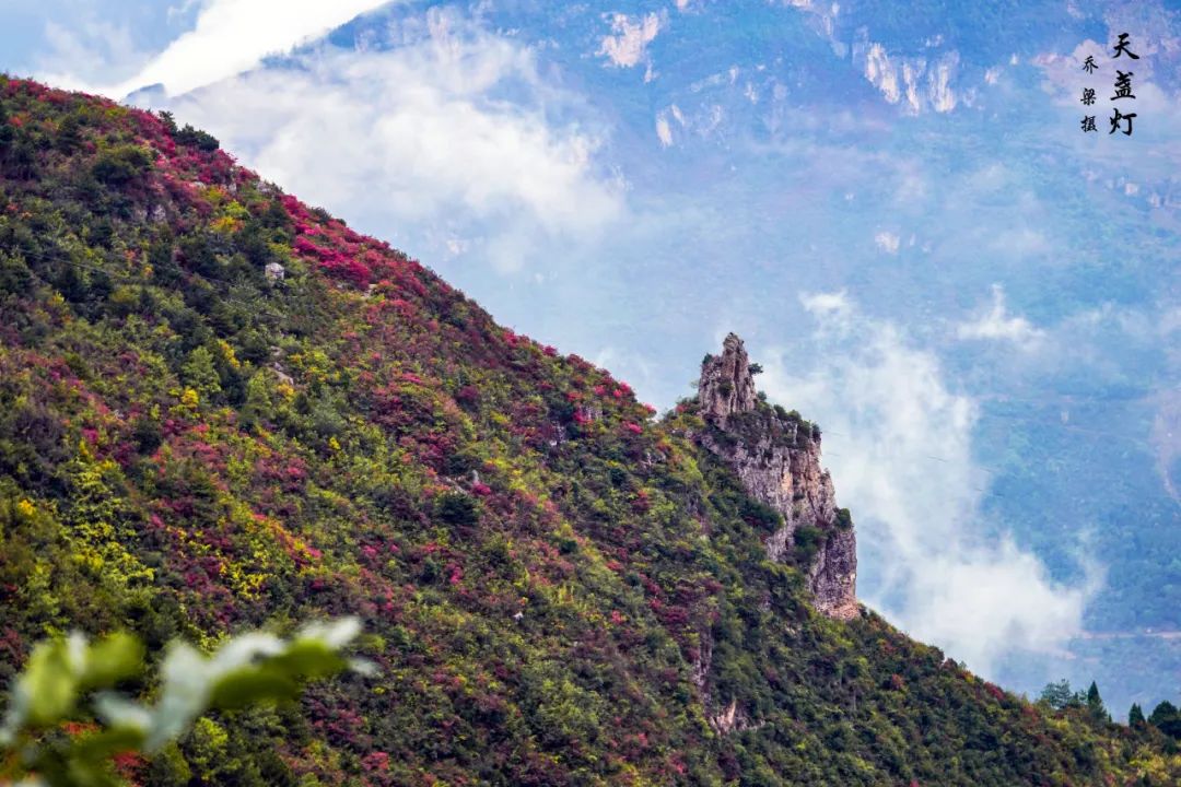 巫山红叶全攻略,巫山红叶2020