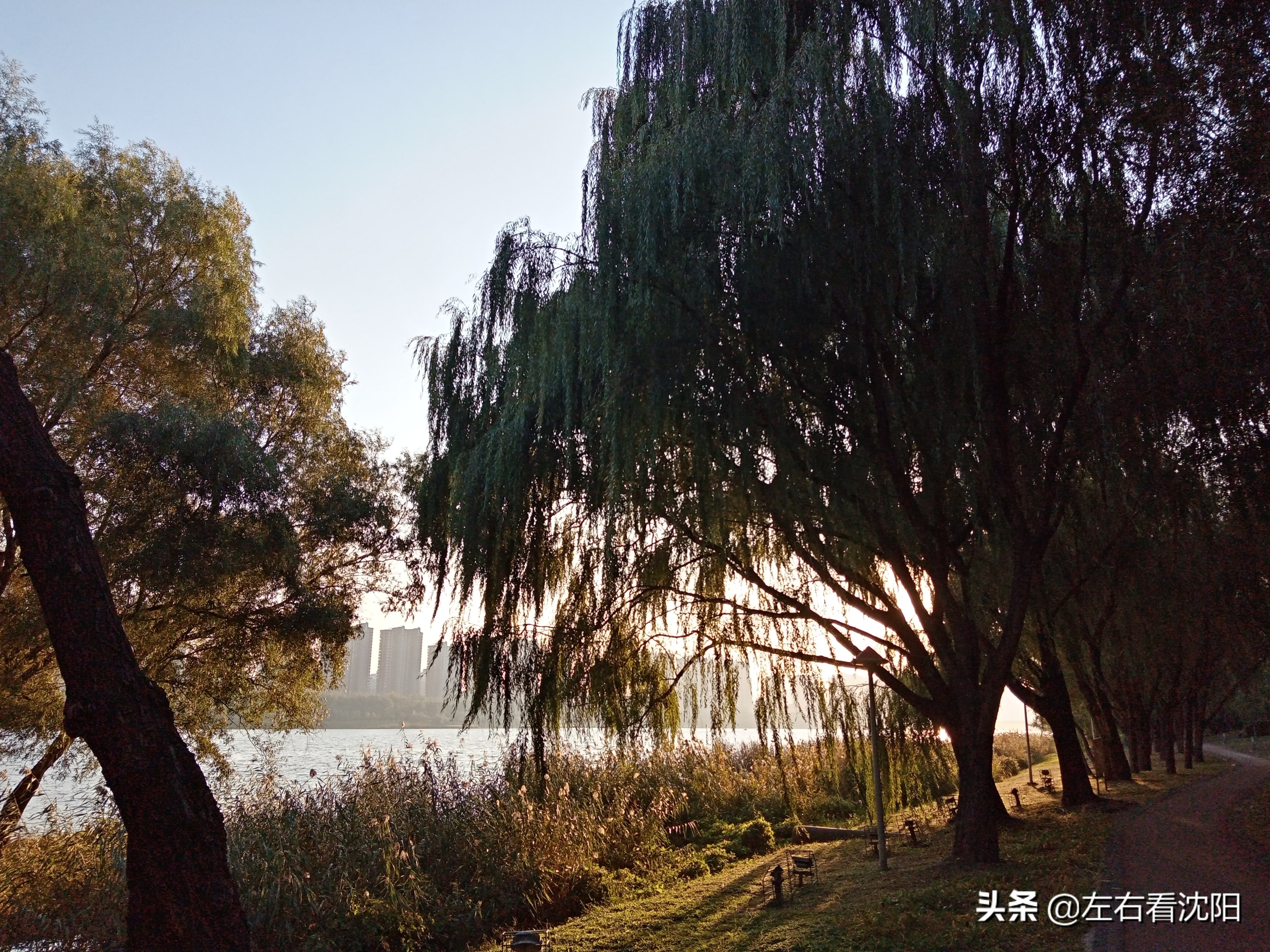 沈阳五里河公园攻略,沈阳五里河公园现在开吗