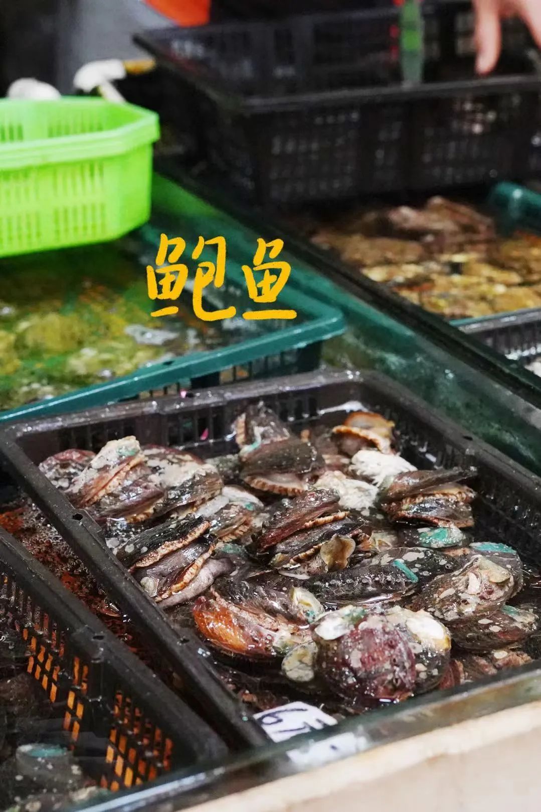 青岛的海给人很惬意,夏天青岛的海边热吗