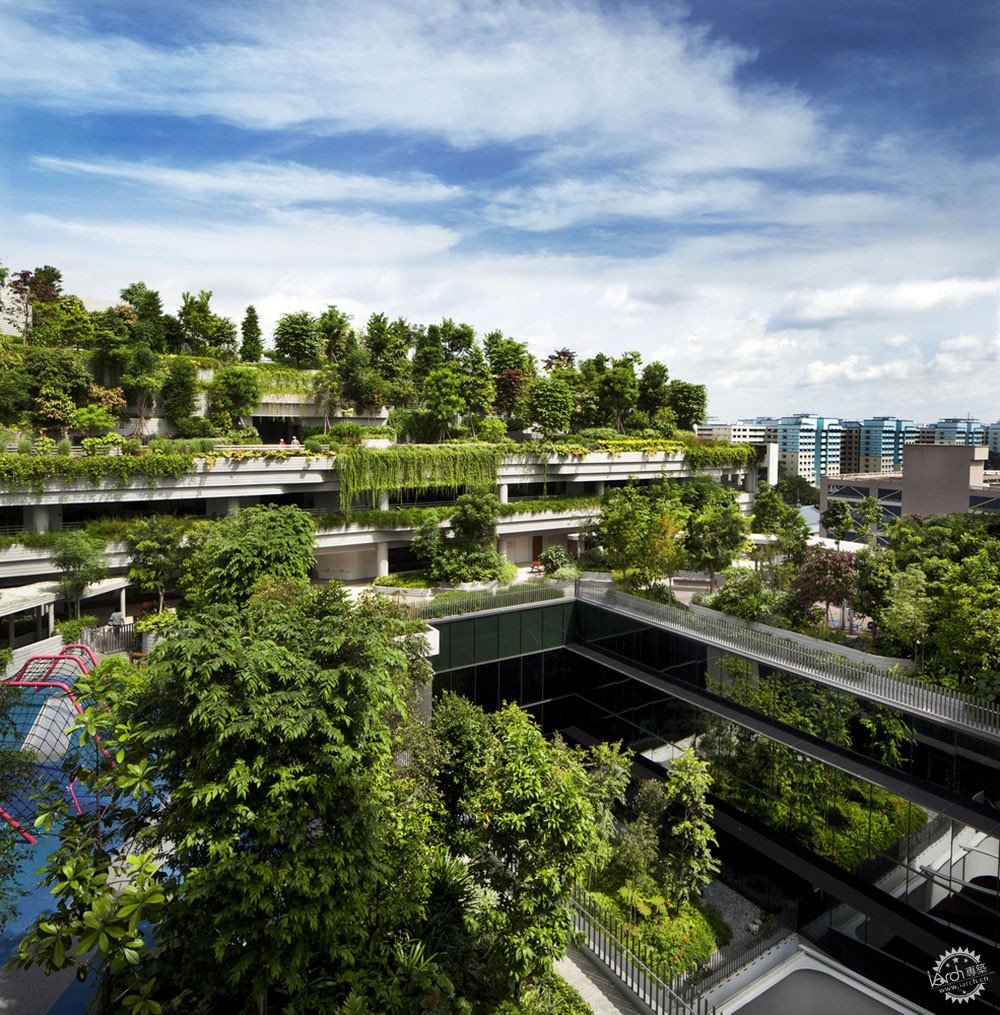 漫步绿树成荫的街道,绿树成荫环境怡人小区