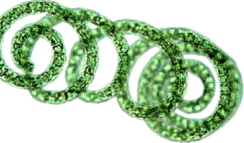 赵露思推荐补水保湿,赵露思推荐水感保湿焕颜面霜