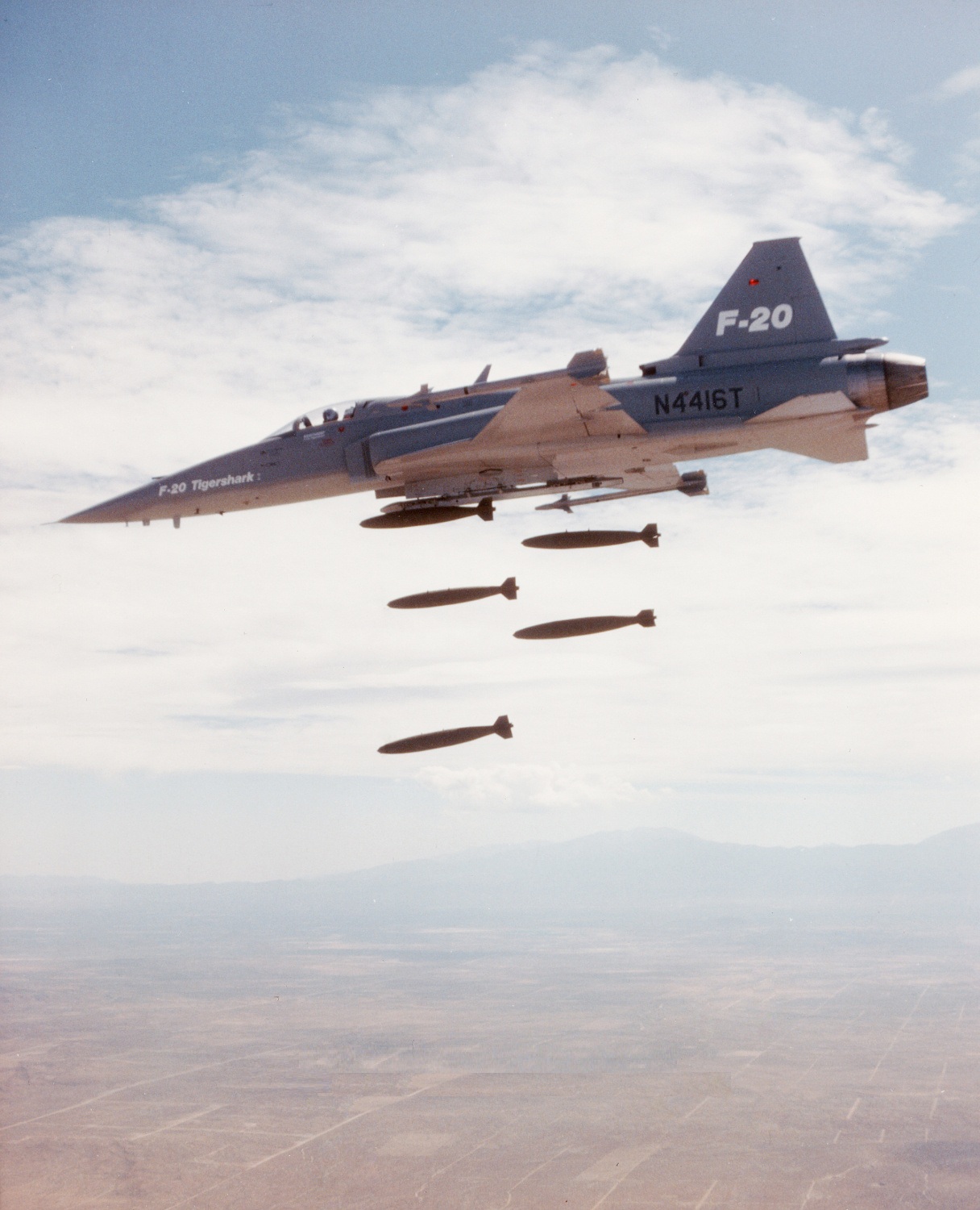 极富悲剧色彩的虎鲸,虎鲨悲剧