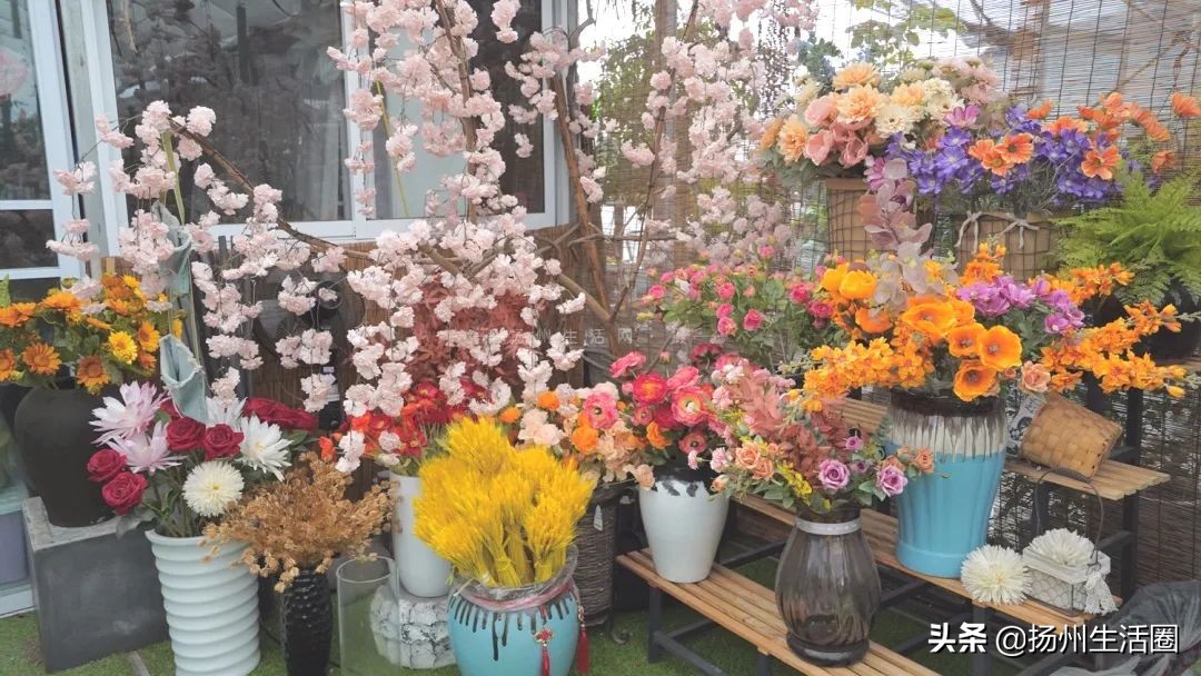 扬州盆栽花卉批发市场,扬州花木城花卉批发市场