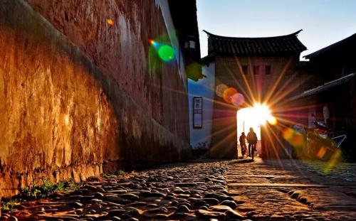 茶叶的分类六大名茶和四大茶地,带你走进产茶区了解茶叶