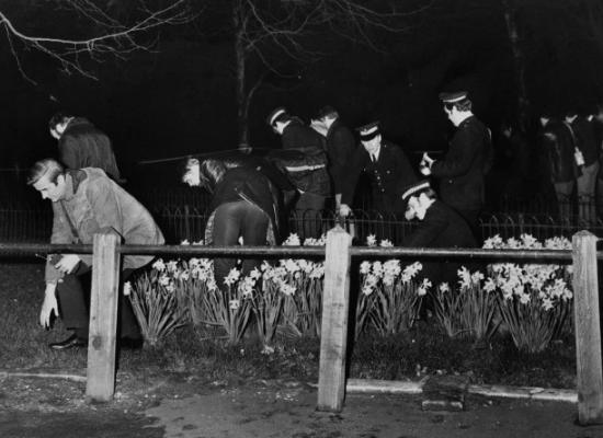 叛逆公主安妮海瑟薇,英国王室公主安妮卡米拉