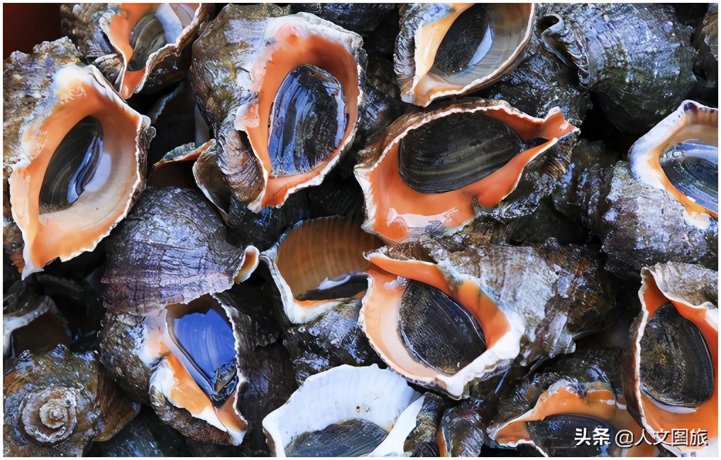 潭门博物馆镇馆之宝 (千年古港老潭门)