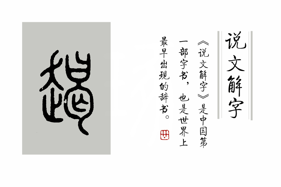 《说文解字》第205课：《说文解字》的说解体例