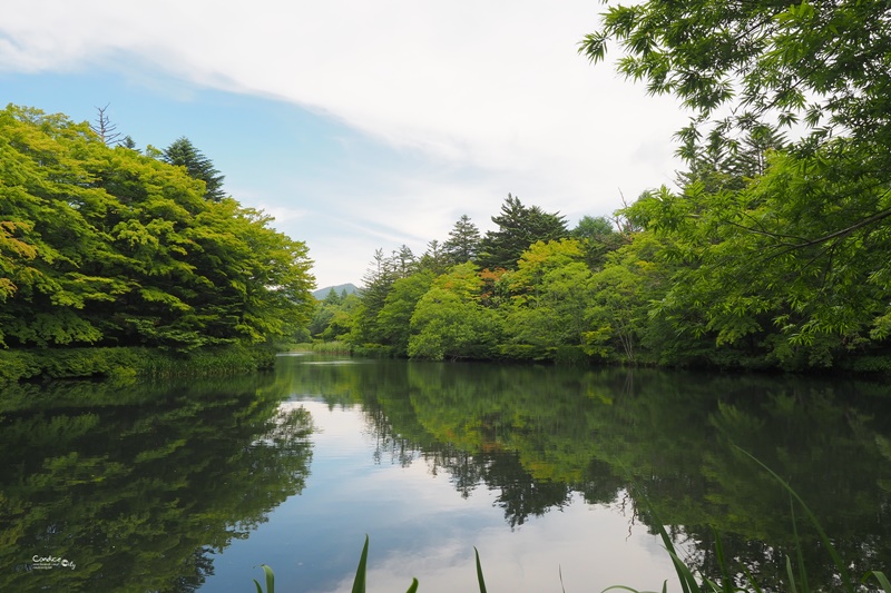 日本东京美食攻略自由行,东京旅游美食自由行路线攻略