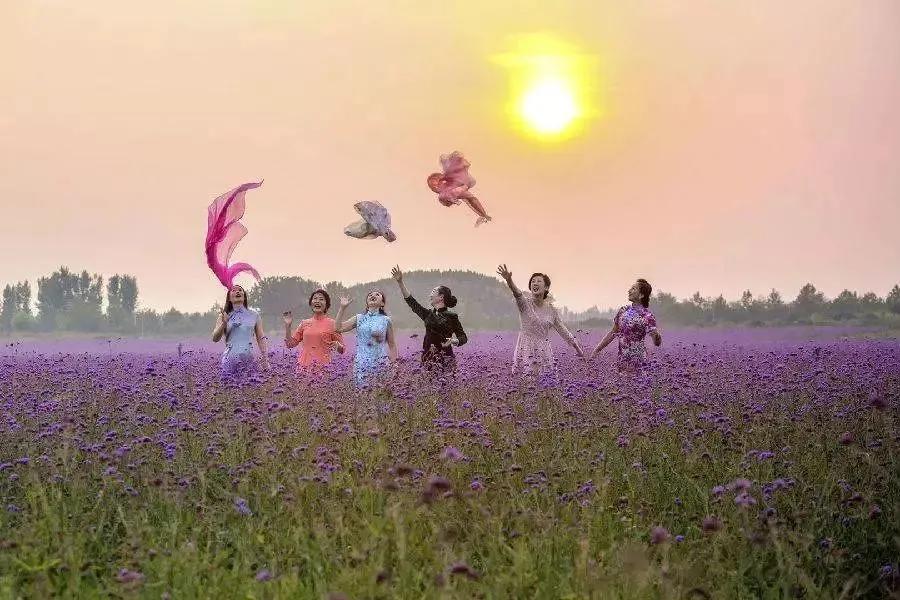 淄博免费领门票,淄博周边免票