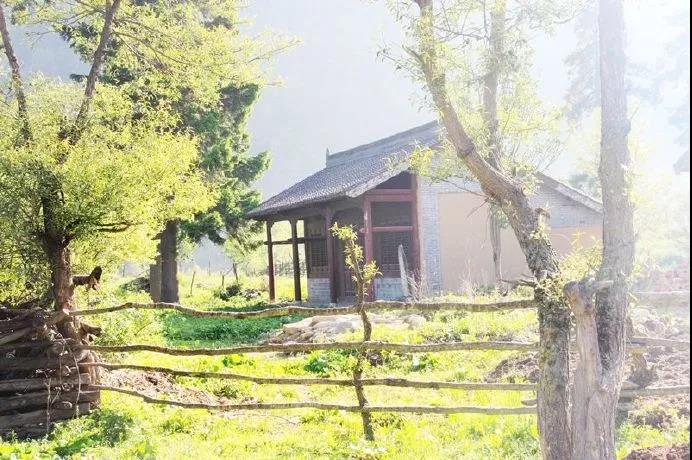 唐诗中的山水田园诗句,唐诗宋词中的田园生活