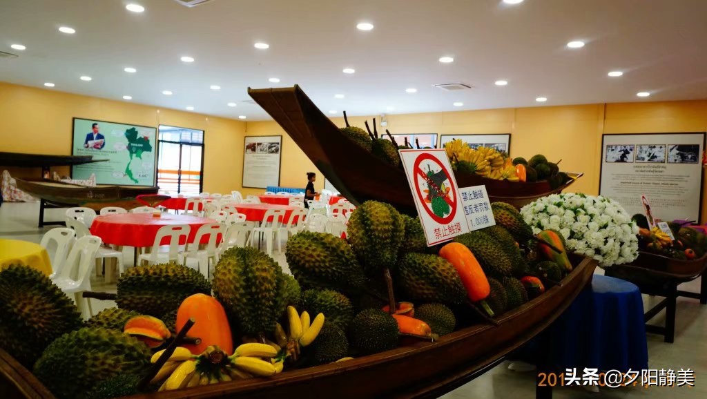 泰国芭提雅东芭乐园视频,芭提雅东芭乐园游玩攻略