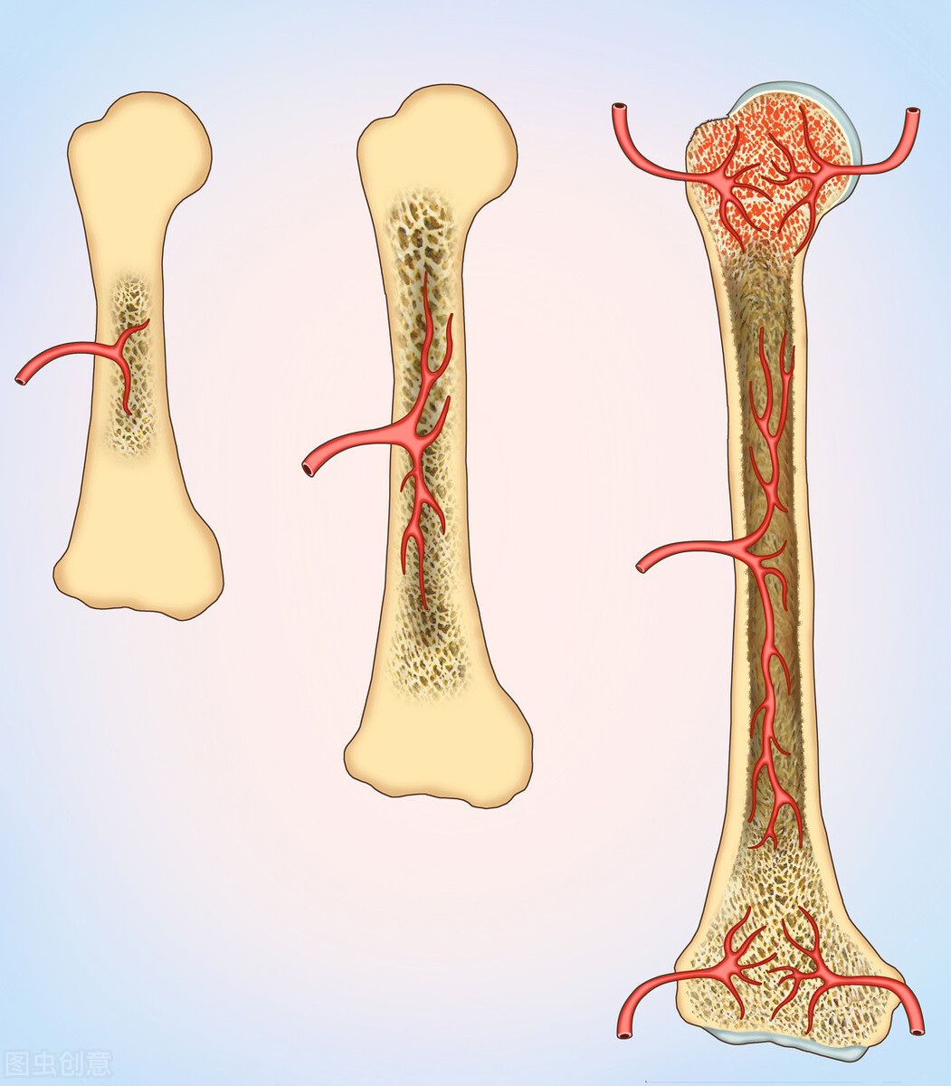 肾性骨病如何导致骨痛,由肾虚导致的骨痛吃什么药