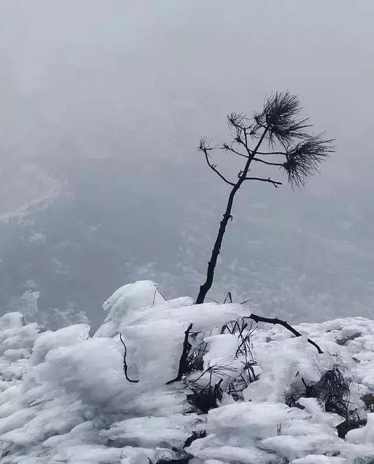 无论你是在哪一个季节来连州，连州都美如一幅画！