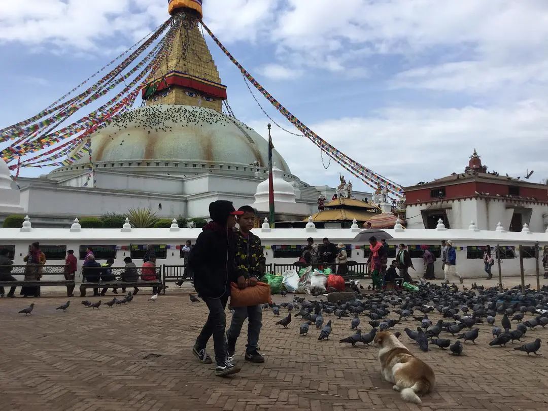 尼泊尔游记十一,七年环球游西藏尼泊尔