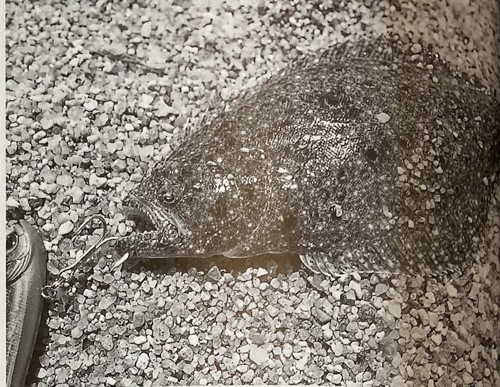 路亚钓法钓组图解钓鱼人必看,路亚中小型鱼钓法