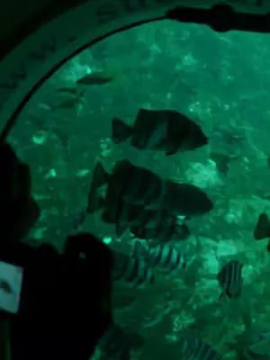 韩国弘大商圈旅游攻略,韩国首尔旅游攻略费用高