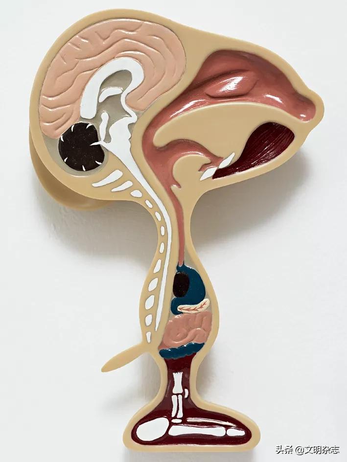 花生漫画,花生漫画讲了什么