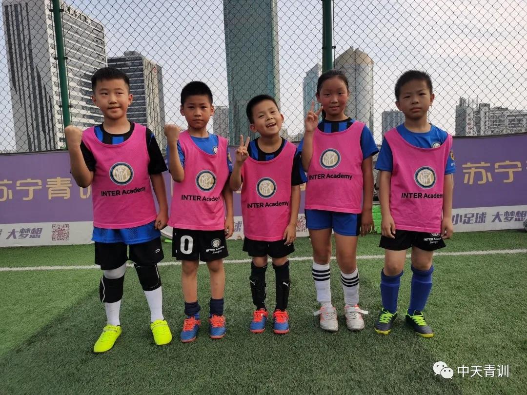 涓ぉ闈掕,涓ぉ鑻忓畞闈掕