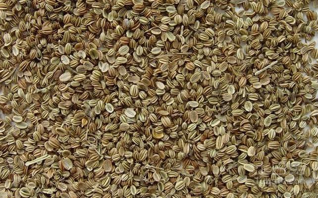 土茯苓蛇龟汤效用,艾叶加土茯苓煮水洗头有什么好处