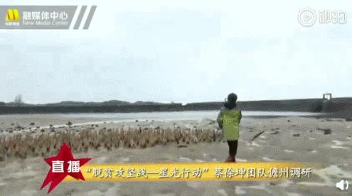 又是蔡徐坤？粉丝把鸭蛋买脱销怎么回事？