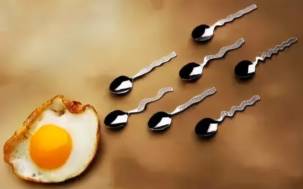 怎样才能检测小蝌蚪的数量,小蝌蚪成活率是多少合格