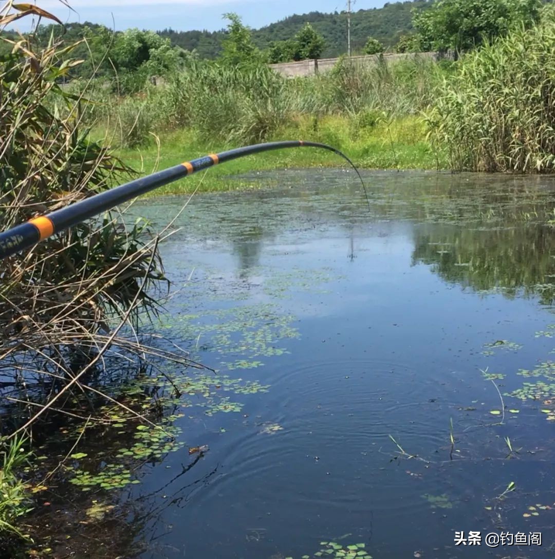 钓鱼频繁咬钩的危害有哪些,钓鱼总是咬钩很深