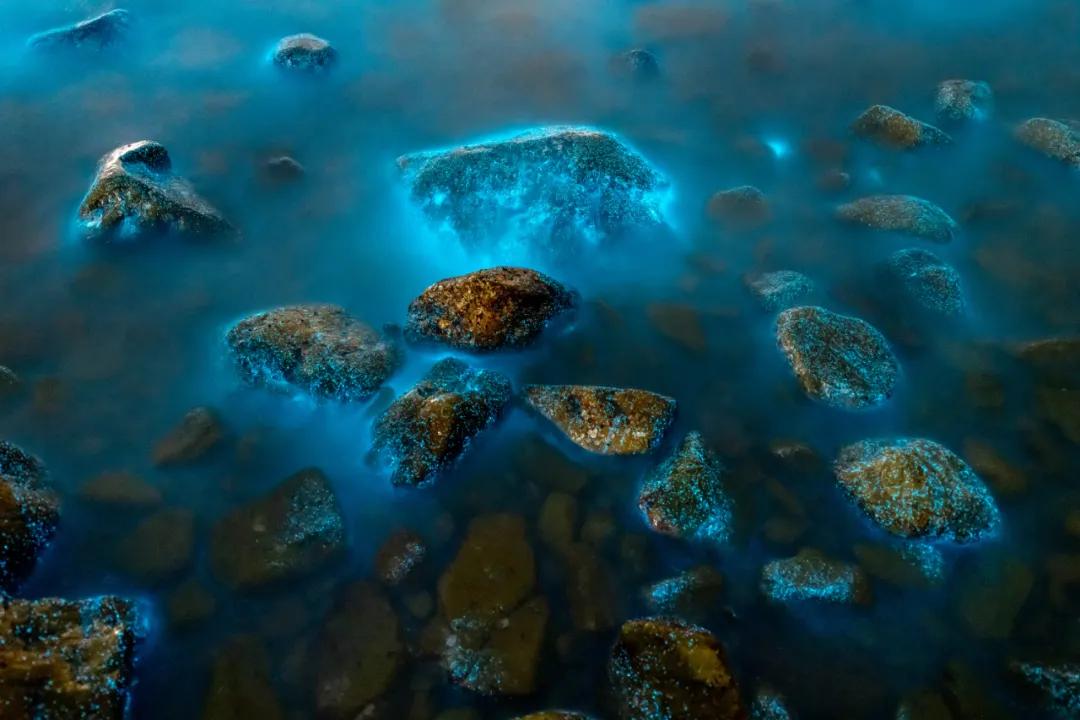 带大家一起看大连的海,来看看大连的海