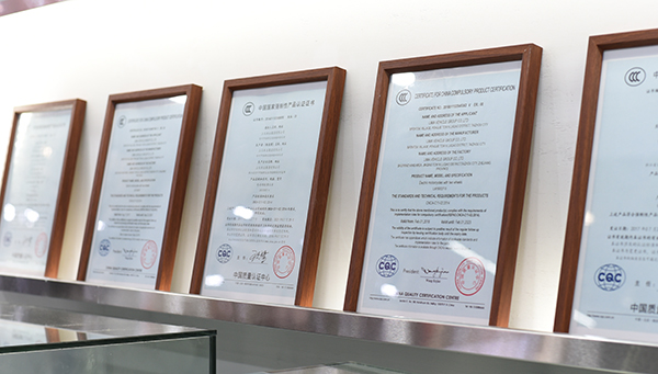 立马电动车为什么是国标车,立马电动车要怎么选才好