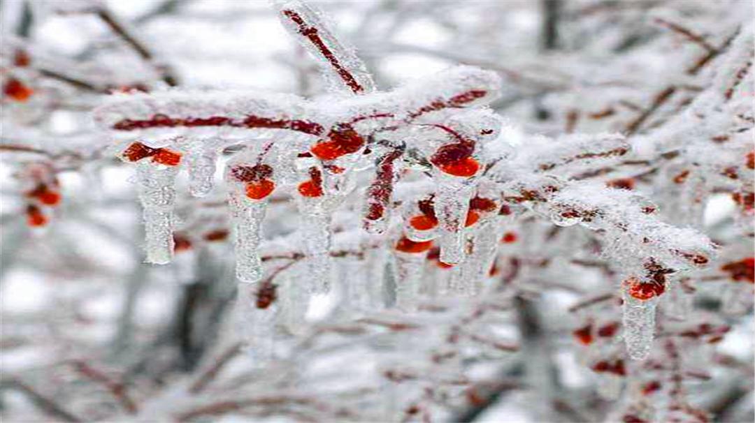 女性冬天受凉不容小视，小心这3个危害，看看你都中招了没