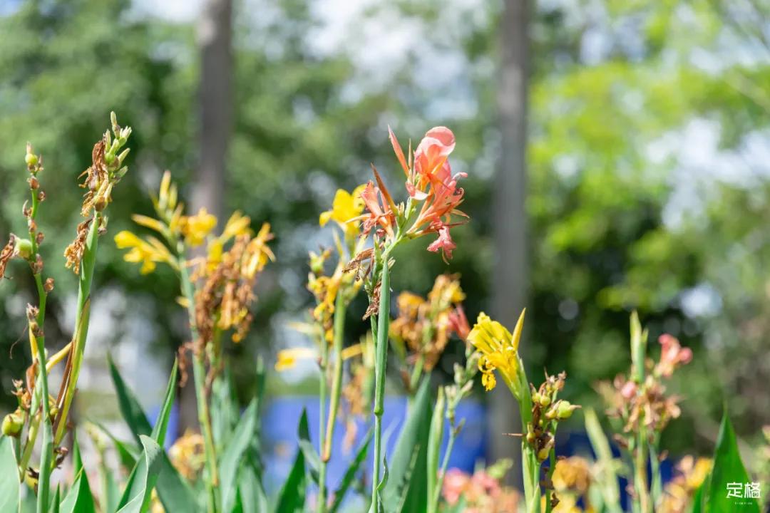 深圳大鹏小众村庄,超小众拍照圣地深圳