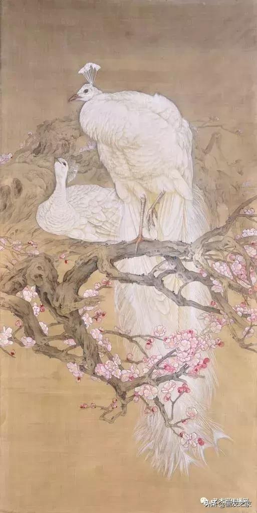 工笔孔雀上色步骤详解,工笔最顶级逼真孔雀画精品