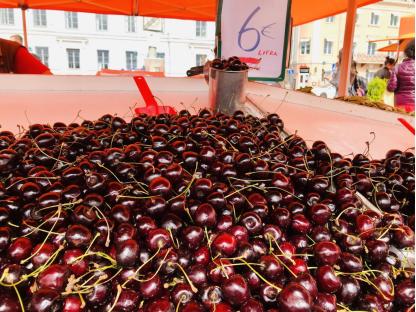 北活游记|来源于自然的食物，都比想象中的更美味，比如芬兰