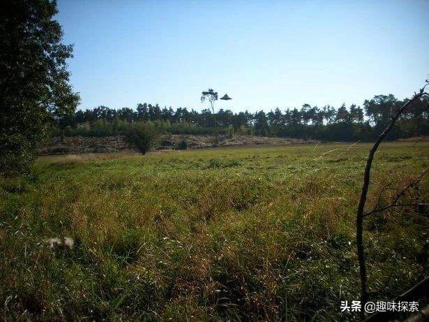 ufo不明飞行物真的存在吗,美国政府承认ufo存在吗