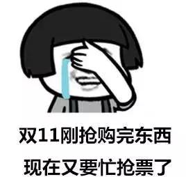 网警提醒个人信息是怎么回事,12306泄露信息解决方案