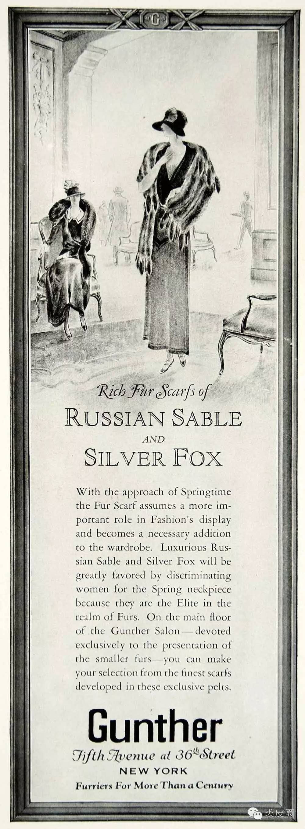 貂中之王紫貂什么颜色,裘中之王是什么意思