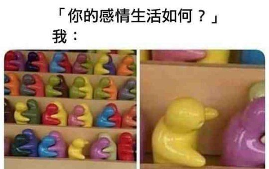 女神在宿舍做什么羞事​​​​|今日爆笑囧图