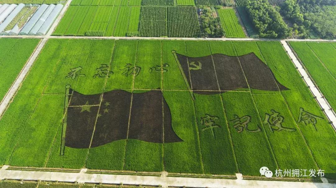 钱塘江出现巨幅画作,钱塘江大潮图片绘画