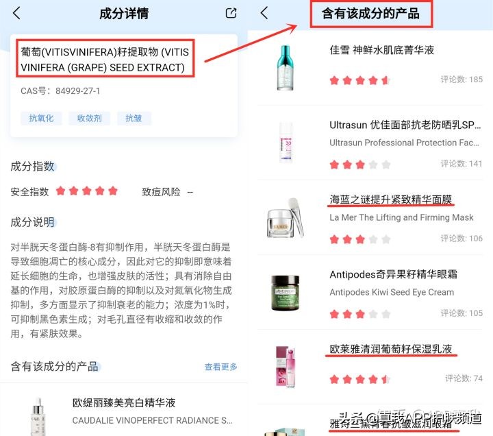 网上葡萄籽真的有美白效果吗,网红葡萄籽真的有美白效果吗