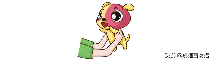 狗狗抽搐整夜嚎叫后突然不叫了,新犬到家不停叫喊怎么办