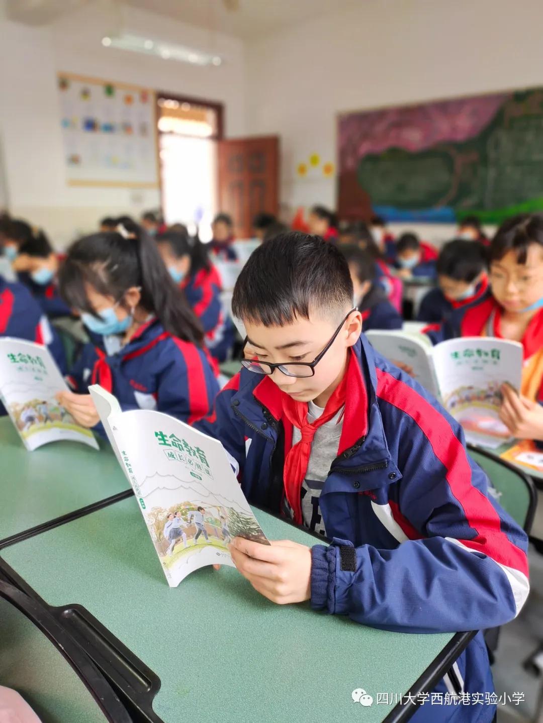 川大西航港实验小学课程表,四川大学西航港实验小学择校