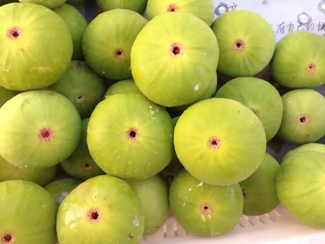 山东荣成定居好不好,外地人荣成落户条件