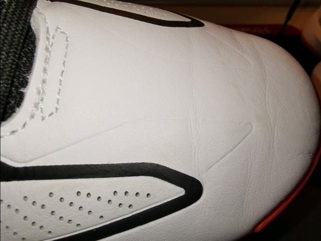 罗斯玫瑰战靴,玫瑰十年