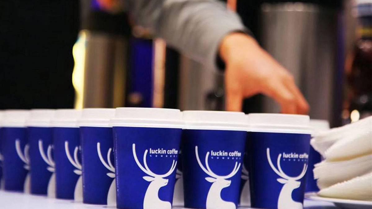 奈雪的茶和喜茶星巴克,为什么喜茶奈雪做不成星巴克