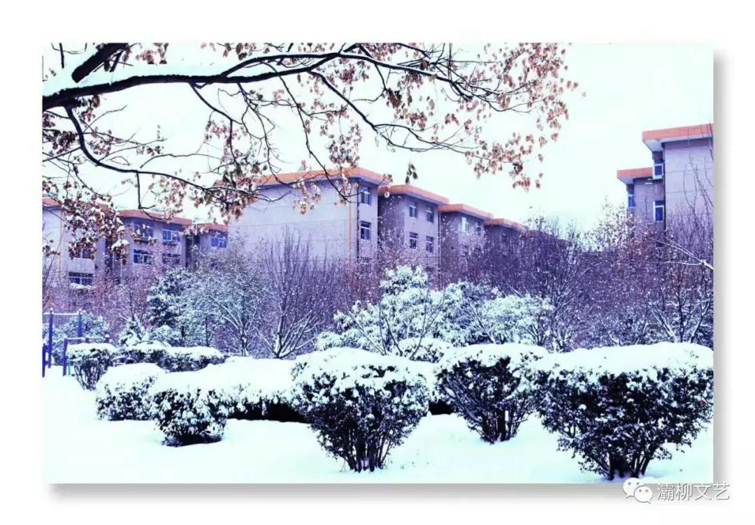 中国西部文苑｜四院文化群健步远征群欢歌热舞迎新年