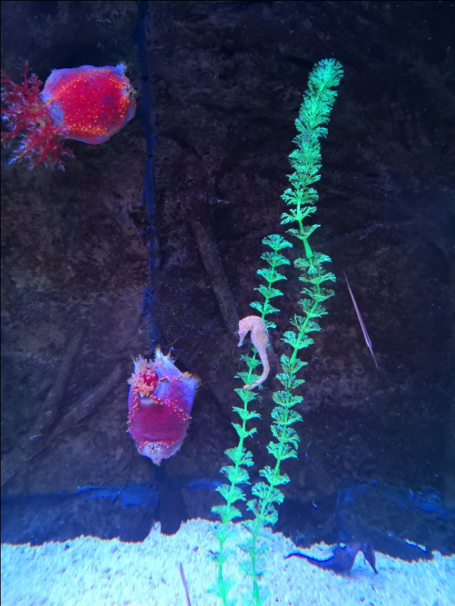 北京工体富国海底世界周一营业,北京工体富国海底世界旅馆