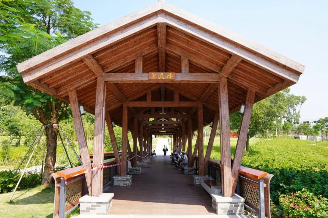 人少还免门票！深圳这片5000000㎡新公园美翻了，“神仙花谷”