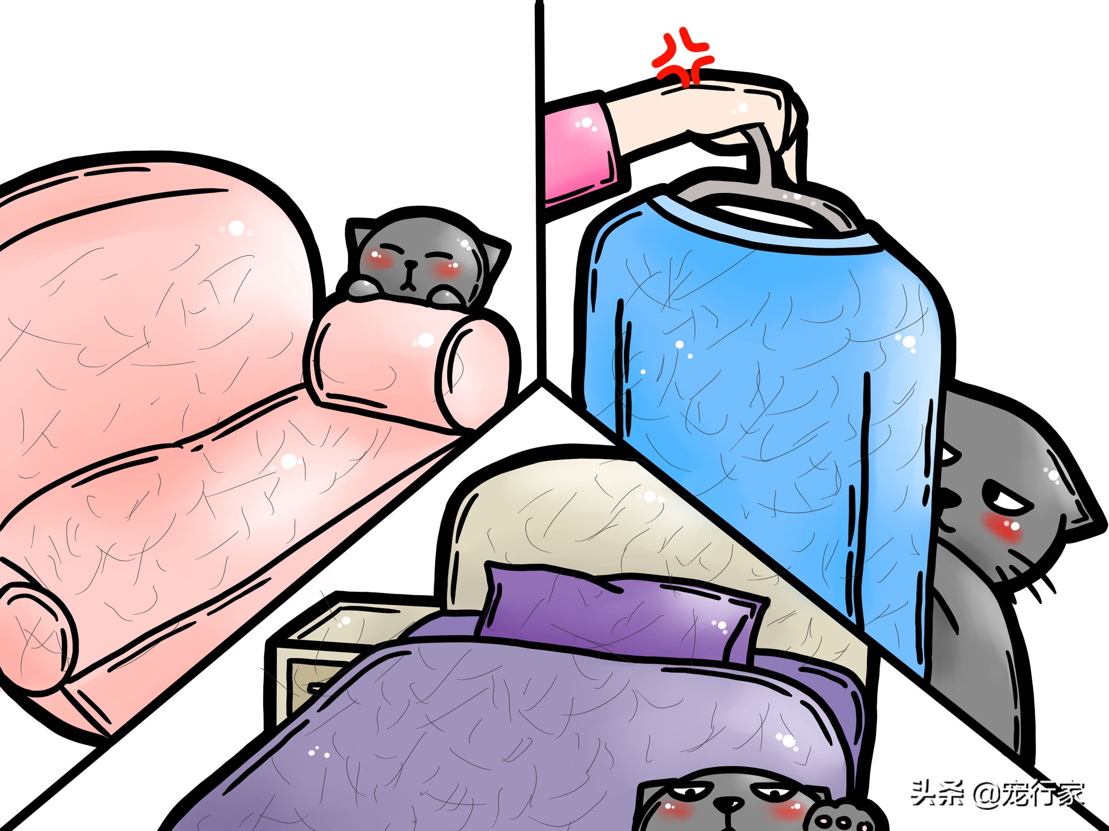 猫掉毛期怎么减少掉毛,有人说猫掉毛该怎么反驳