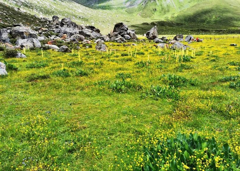 贡嘎山的徒步,贡嘎雪山大环线徒步游记