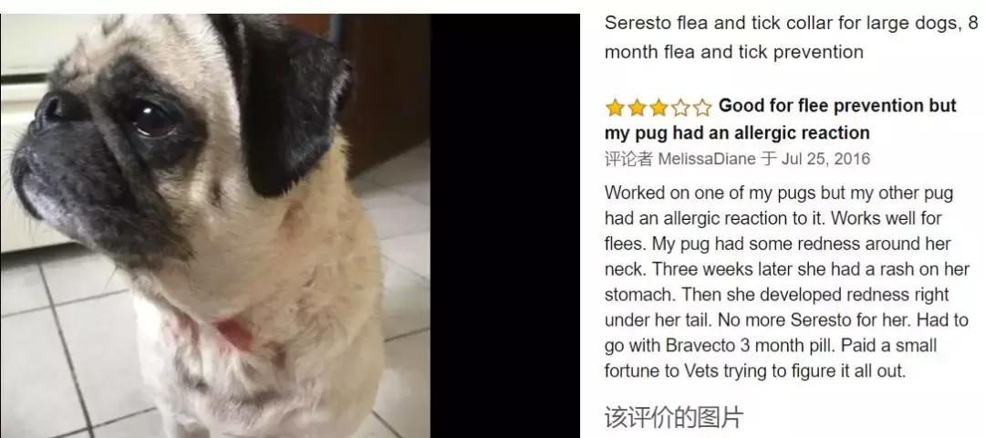 猫狗驱虫环哪个牌子好用,驱虫项圈有害宠物吗